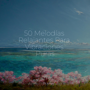 Corrientes Torrenciales