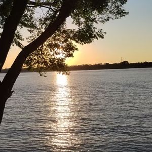 总有美好在路上（翻自 周深）