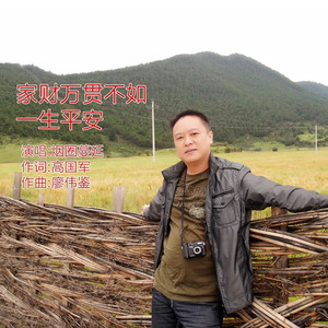 家财万贯不如一生平安 (DJ阿能版)
