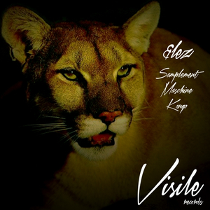 Samplement (Original Mix)