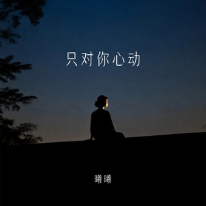 只对你心动