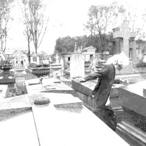 Paris Insanity (Sped up)