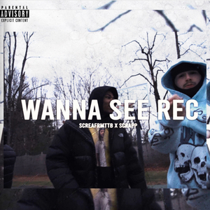 Wanna See Rec