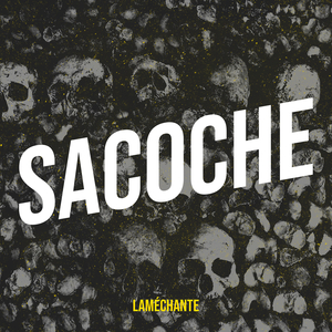 Sacoche