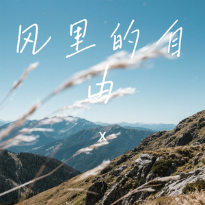 风里的自由