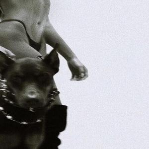 Låt nån annan få dig le