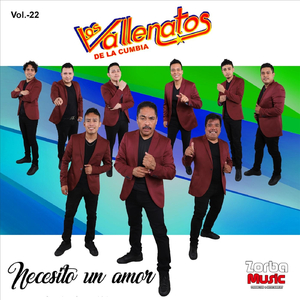 Muchacha Encantadora (feat. La Tropa Vallenata)