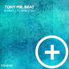 Tony Mr. Beat - Flamboyan