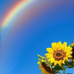 《灵动琴音点亮旅行Vlog之旅》