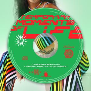 Temporary Moments of Life (Instrumental)