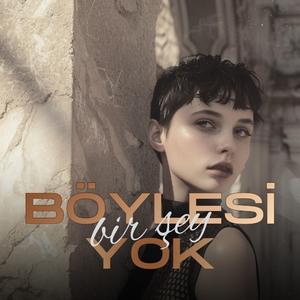Böylesi Bir Şey Yok