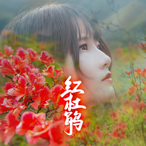 红杜鹃(短歌版)