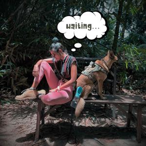 waiting...