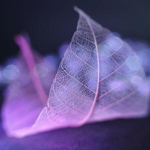 打败（Cover 群可）