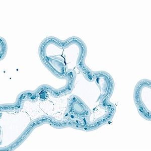 Magisch (feat. S1RENA)