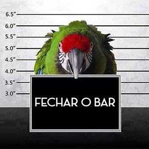 Fechar o Bar