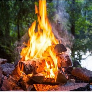 Campfire by Stream trunk