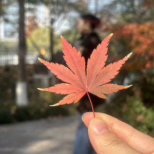 雨后便是是晴天