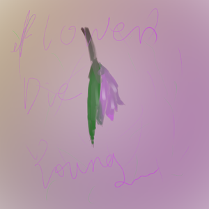 Flower Die Young（demo）