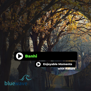 Flying To Spirit Realm