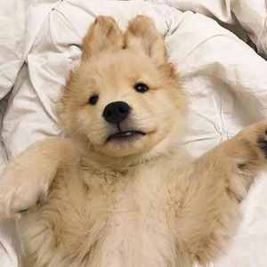 是小饼干阿（prod by Red killer)