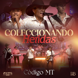 Coleccionando Heridas
