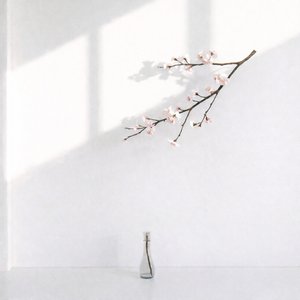 벚꽃은 그냥 핑계