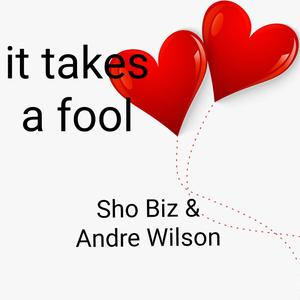 It takes a fool (feat. Andre Wilson)