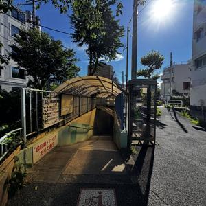 夏の贈り物（A summer gift）