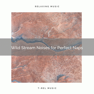 Lovely Stream Sounds of Peace