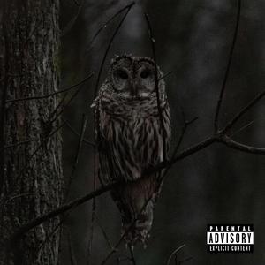 On10 (feat. MURDALOCSSL)