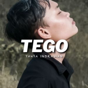TEGO