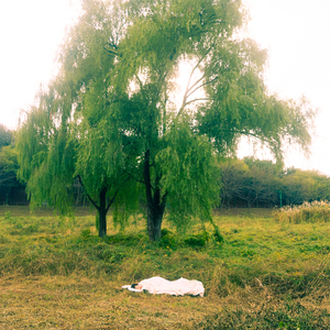 you never was in my dream