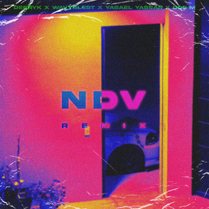 Ndv (Remix)