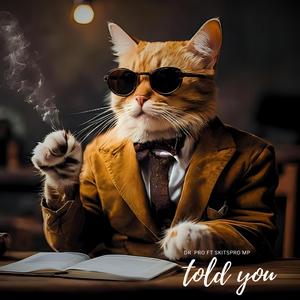 Told you (feat. Skitspro mp)