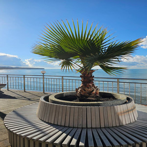 Sunset on the Black Sea