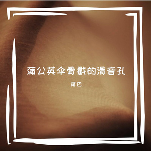 蒲公英伞骨戳的滑音孔