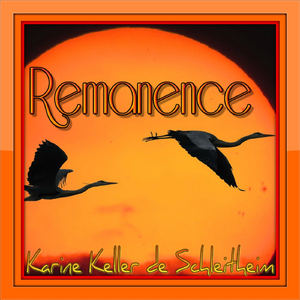 Remanence