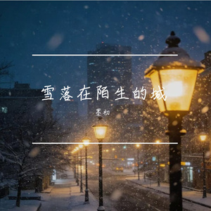 雪落在陌生的城