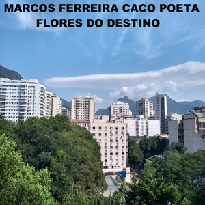 Sunshine (feat. Flávio Ferreira, Bruno Figueira)