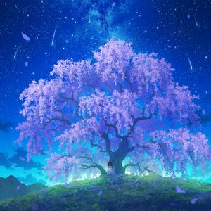 夜·萤火（加速版）