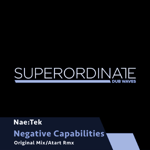 Negative Capabilities (Atart Rmx)