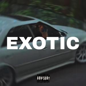 EXOTIC