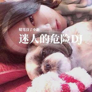 dance flow-迷人的危险dj（蜡笔没了小新 Remix）