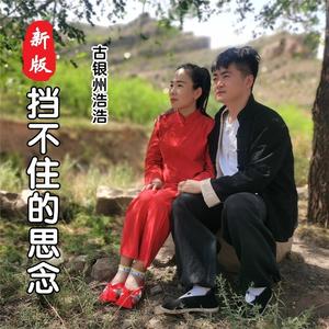 挡不住的思念 (新版)