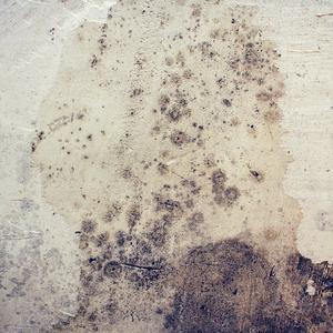 Mildew (Tomonari Nozaki Remix)