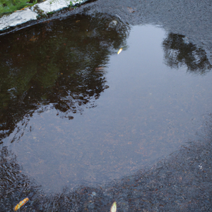 Rainy Day