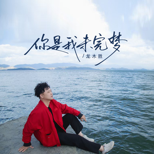 你是我未完梦 (伴奏)