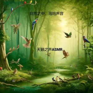 河畔的宁静，鸟鸣增添生机