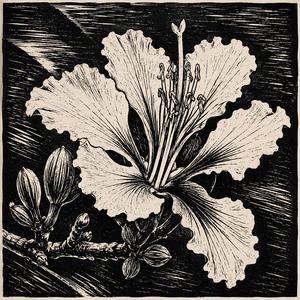Flor de Baraúna